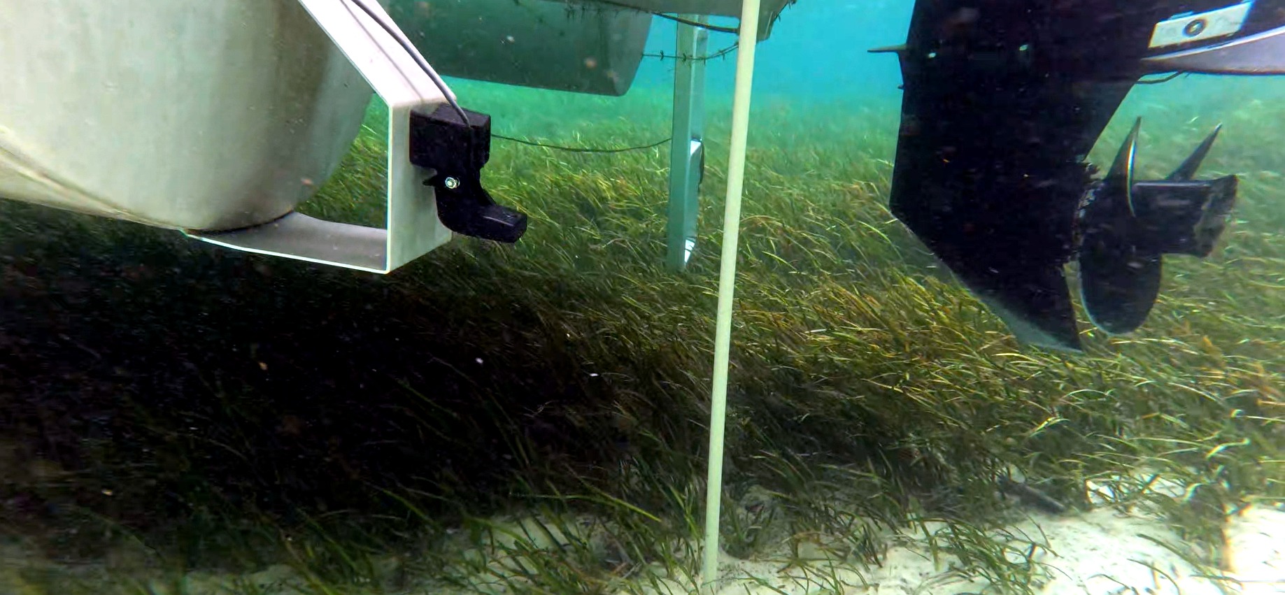 Minn Kota Talon anchor spike deployed underwater beside a pontoon in shallow grass and sand
